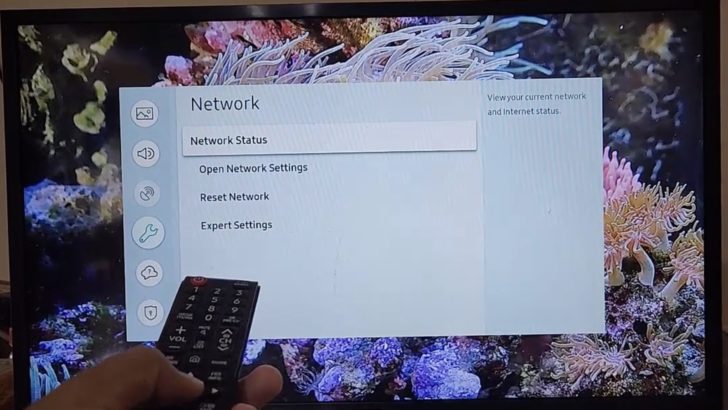 Photo of person holding samsung remote control checking the network status in samsung tv
