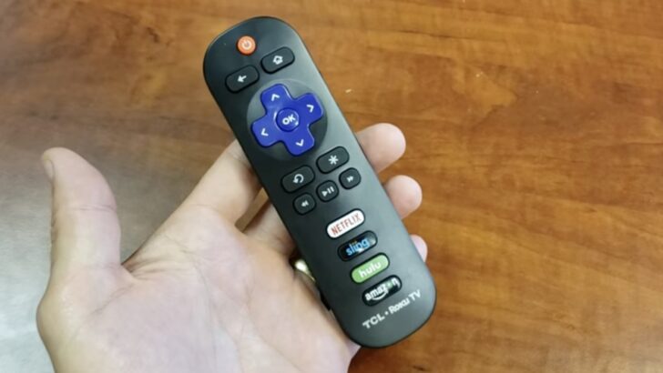 Photo of person holding tcl tv remote