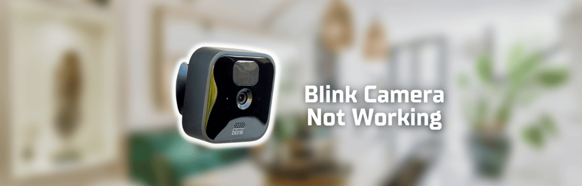 Blink camera not working featured image