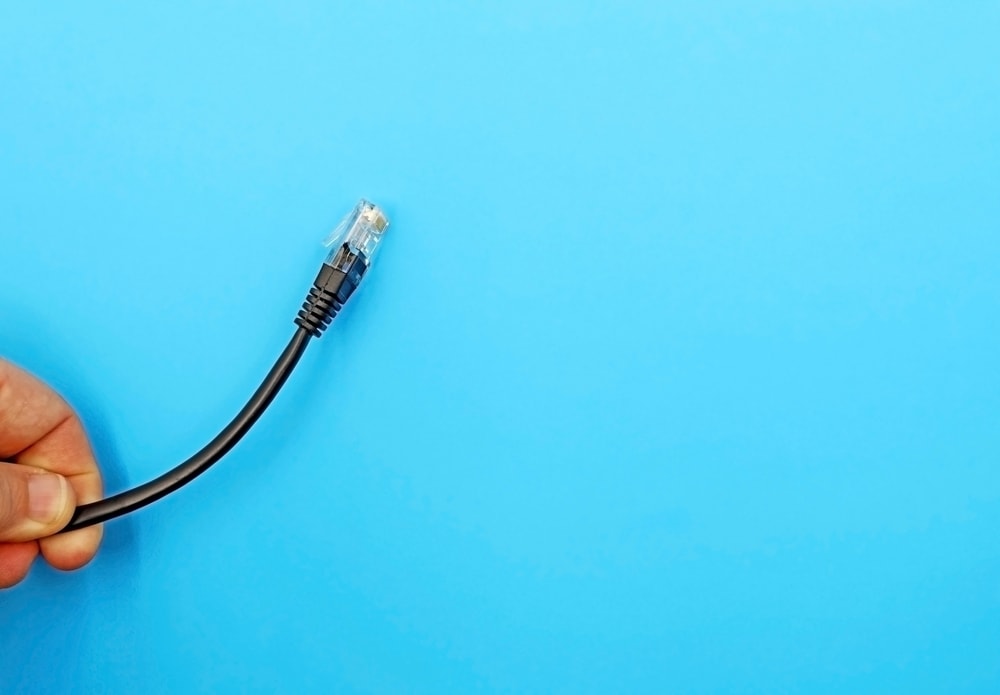 holding an Ethernet cable on a blue background